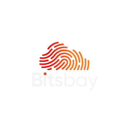 Bitsbay - Custom Software & Amazon Growth Agency