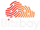 Bitsbay logo