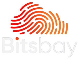 bitsbay-logo